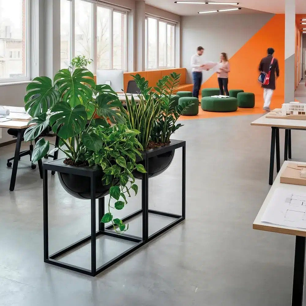 Portavasi FLORIANOPOLIS con piante in un ufficio open space