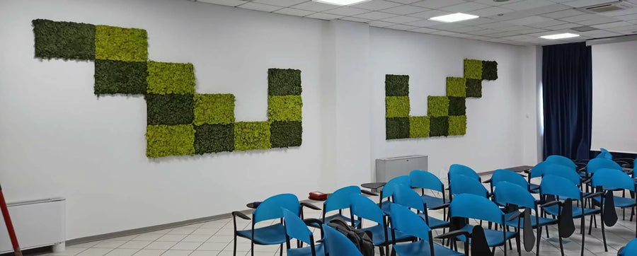 Pannelli modulari in lichene stabilizzato in due toni di verde su una parete bianca di un'aula